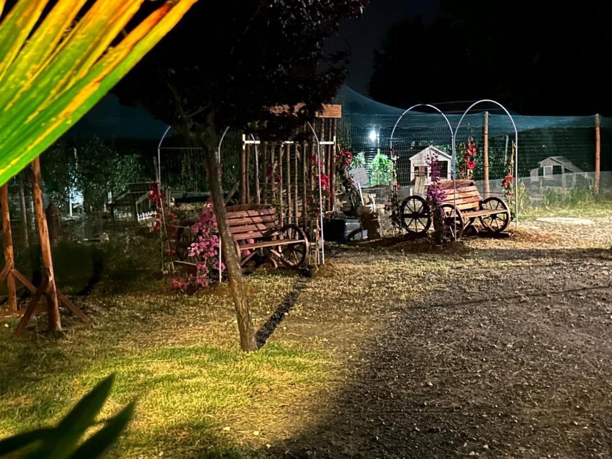 Fattoria Palazzeta - Pet & Family Friendly Aparthotel Cecina  Luaran gambar
